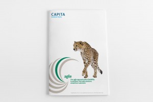 capita business travel brochure